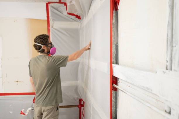 Best Basement Mold Removal  in East Quincy, CA