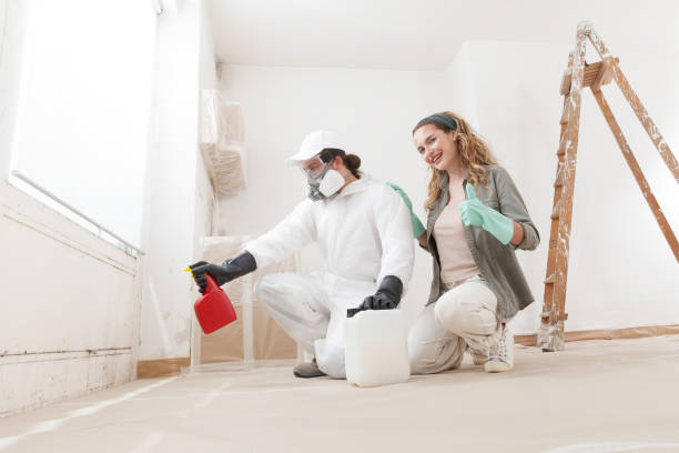 Best Emergency Mold Remediation  in East Quincy, CA